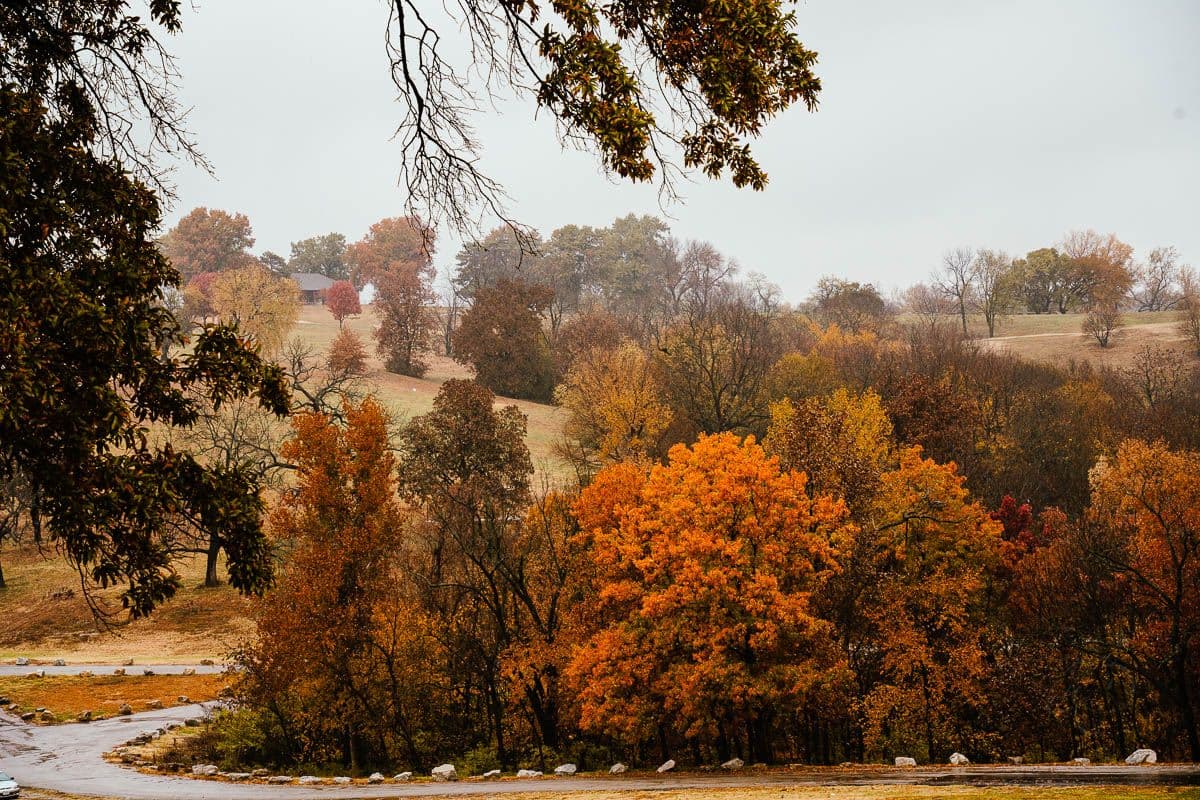Blue Valley photo 3
