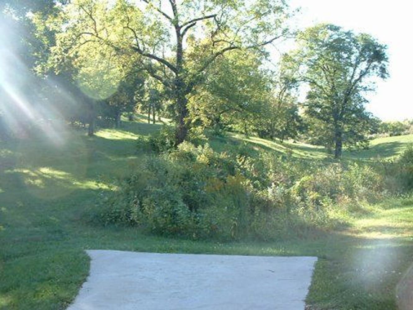 Blue Valley photo 4