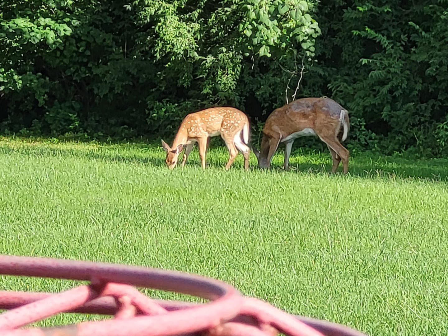 Kessler Park (Cliff Drive)