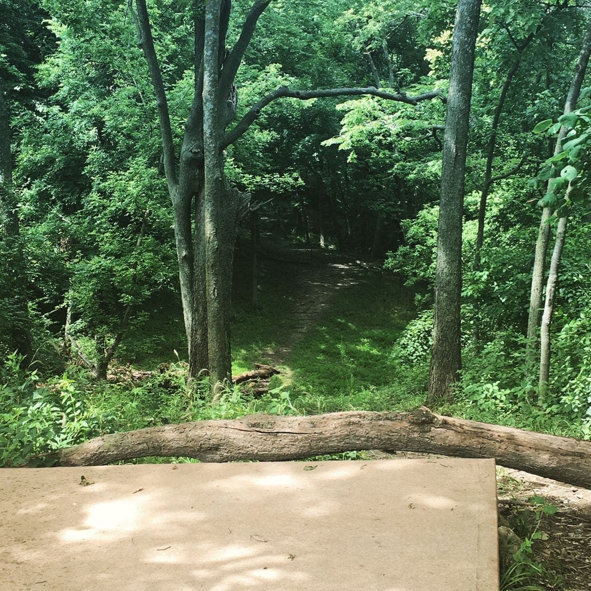 Kessler Park (Cliff Drive) photo 3