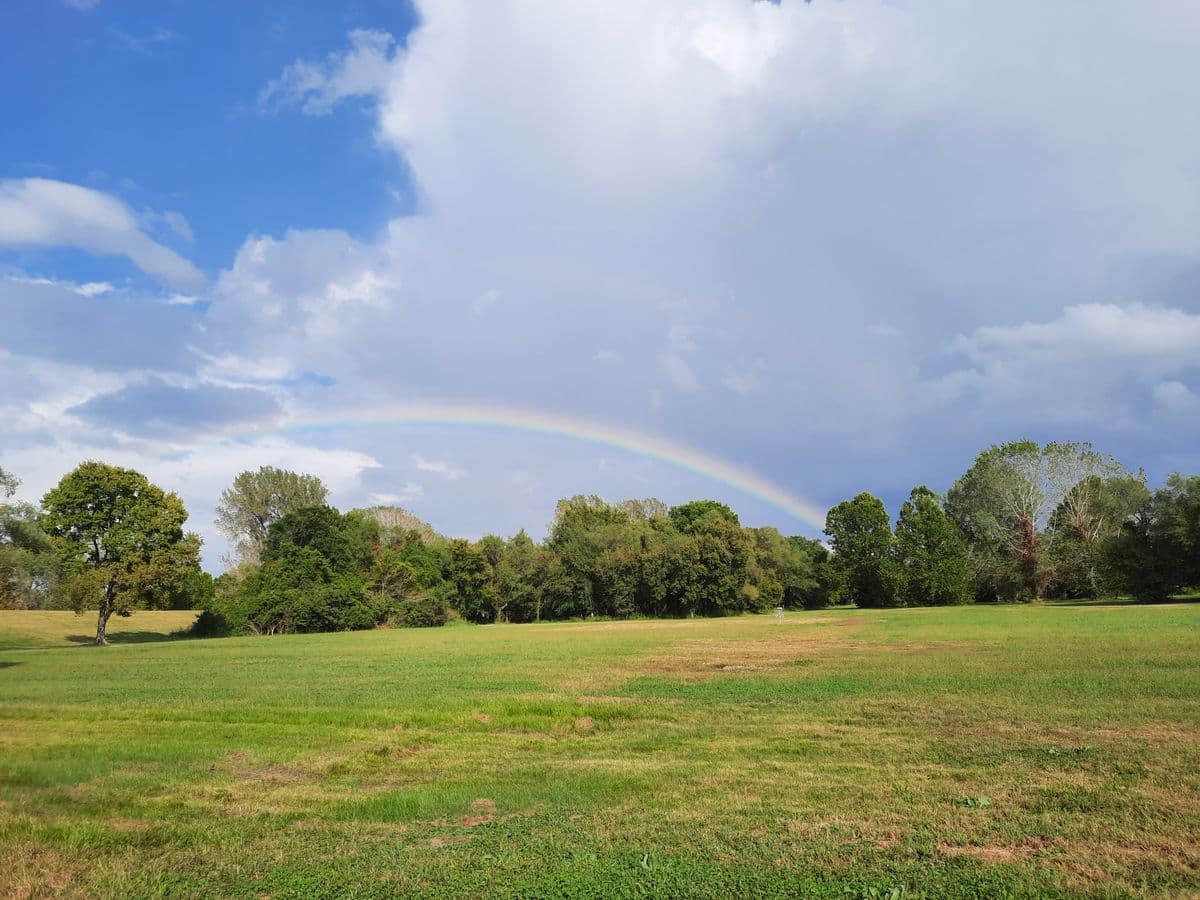 LaBenite photo 6