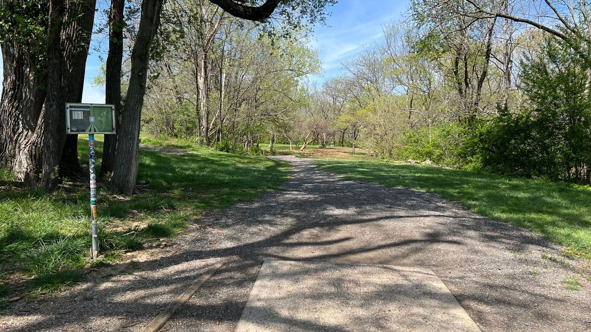 Rosedale — Up Top photo 6